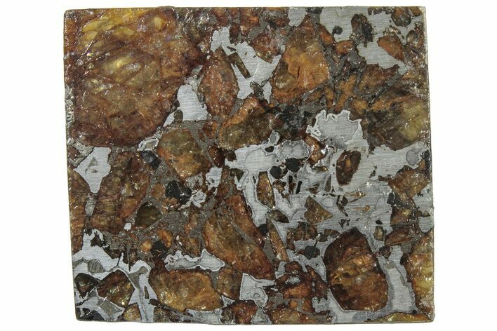 Brahin Pallasite Meteorite ( g) Slice - Belarus #307380